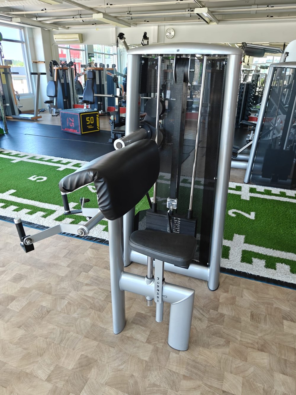 Gym80 Sygnum Biceps Curl 1300,-