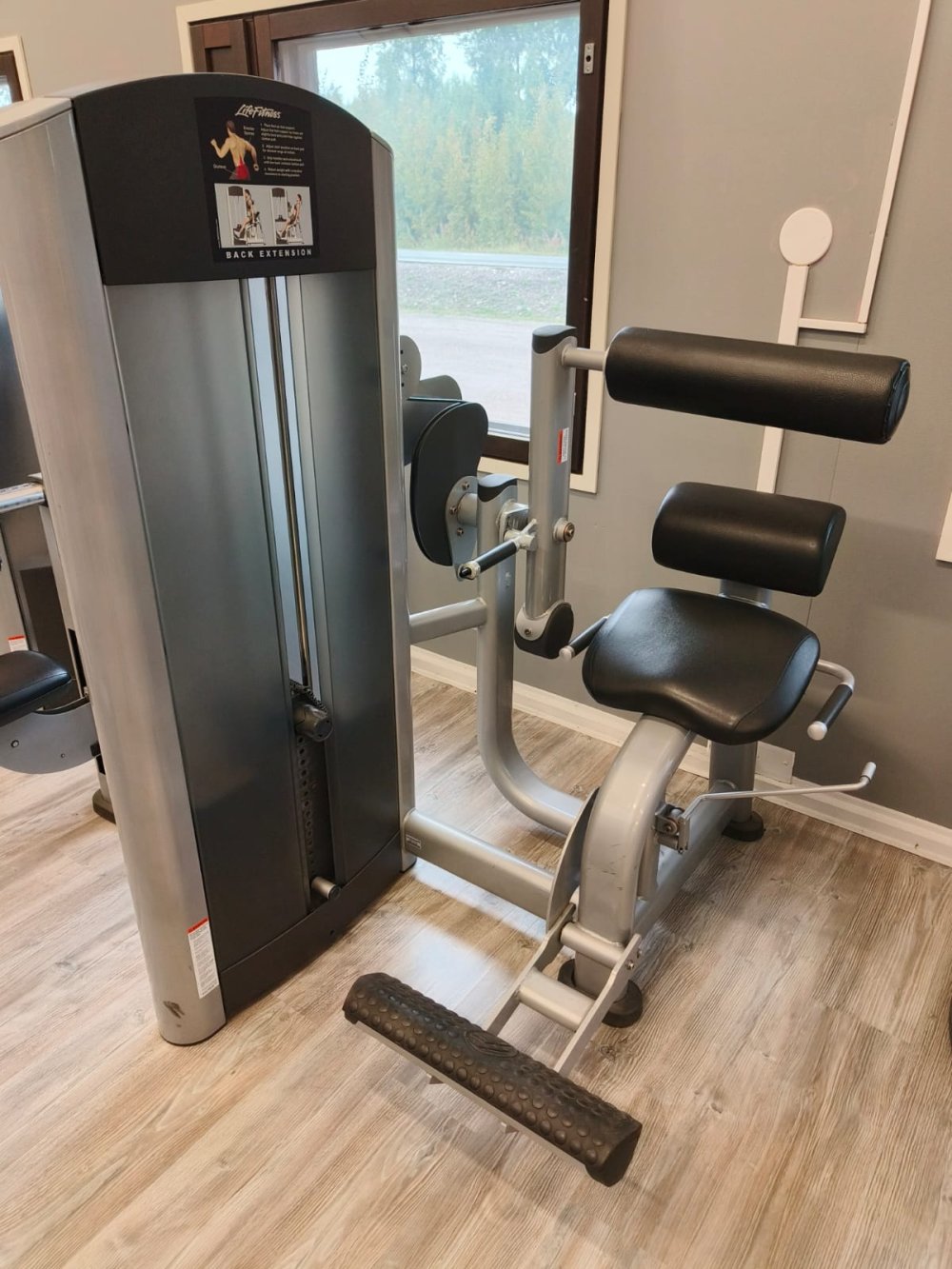 Life Fitness Back Extension 895,-