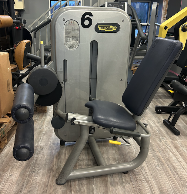 Technogym Leg Curl polvenkoukistuslaite 250,-