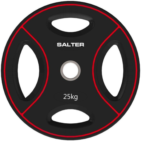 Levypainot, Salter 25kg, 10 kpl 600,-