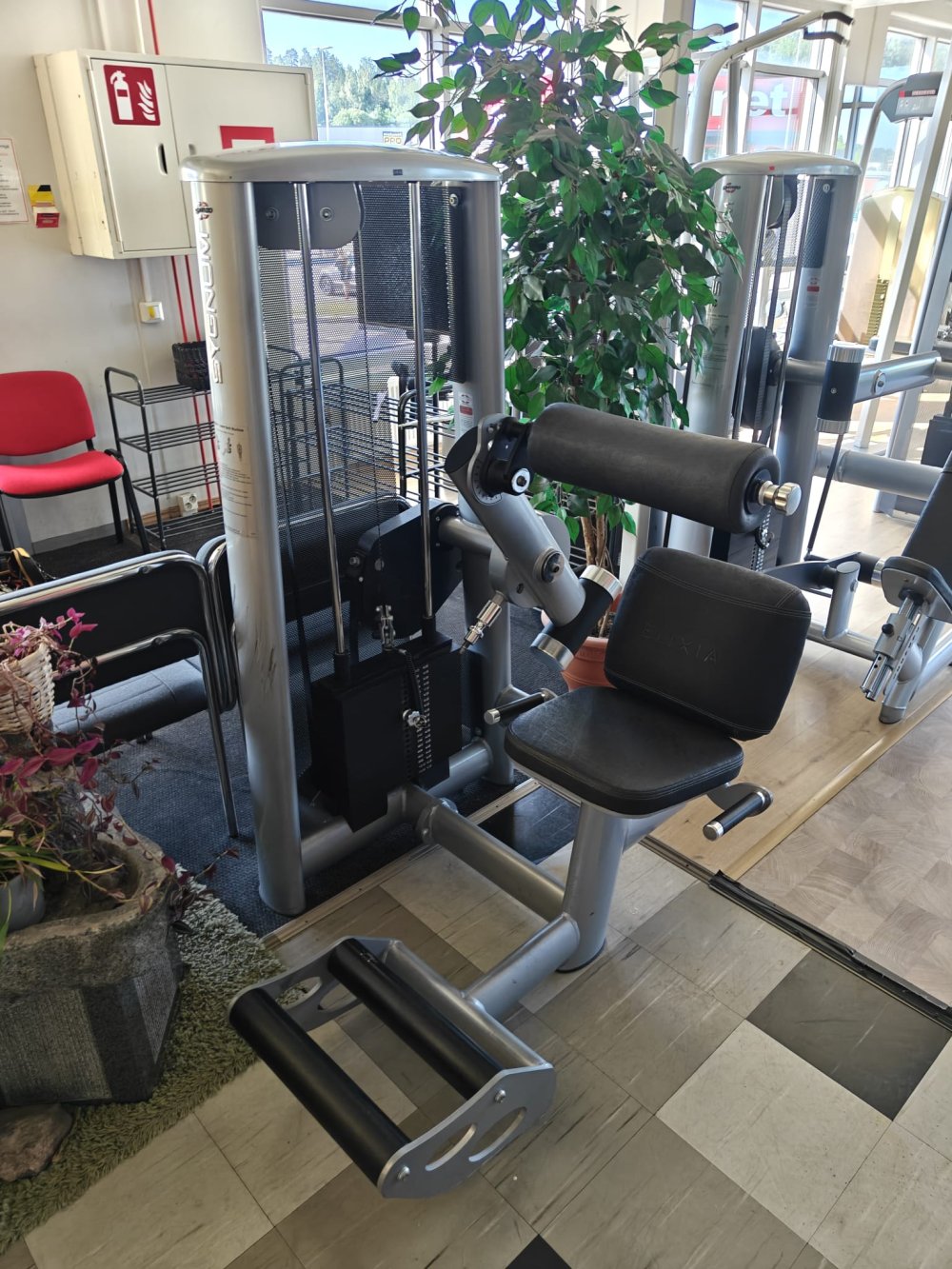 Gym80 Sygnum Lower Back 800,-