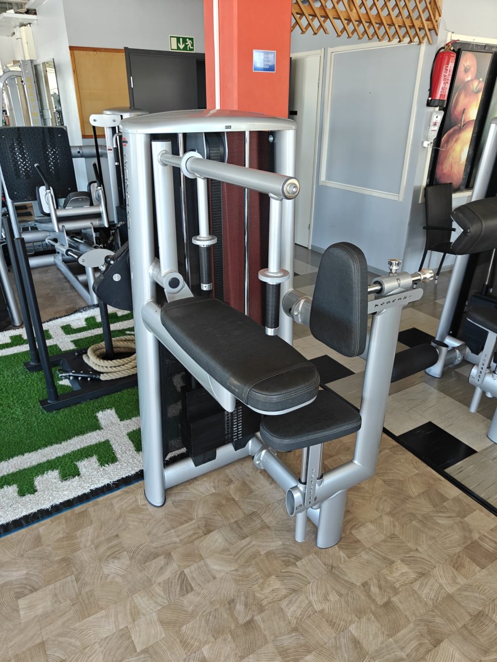 Gym80 Sygnum Triceps Horizontal 1300,-