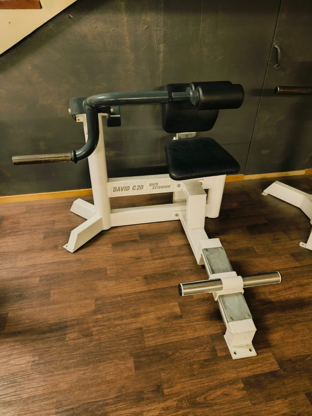 David C20 selänojennus